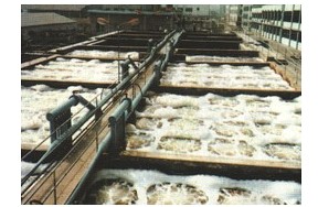 石碣环评/石碣环评公司