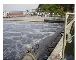 石排环评/ 石排环评公司