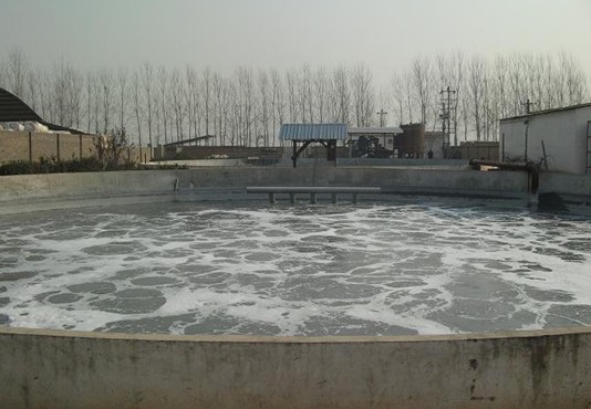 再生纸厂废水处理工程整改/东莞再生纸厂废水处理工程整改
