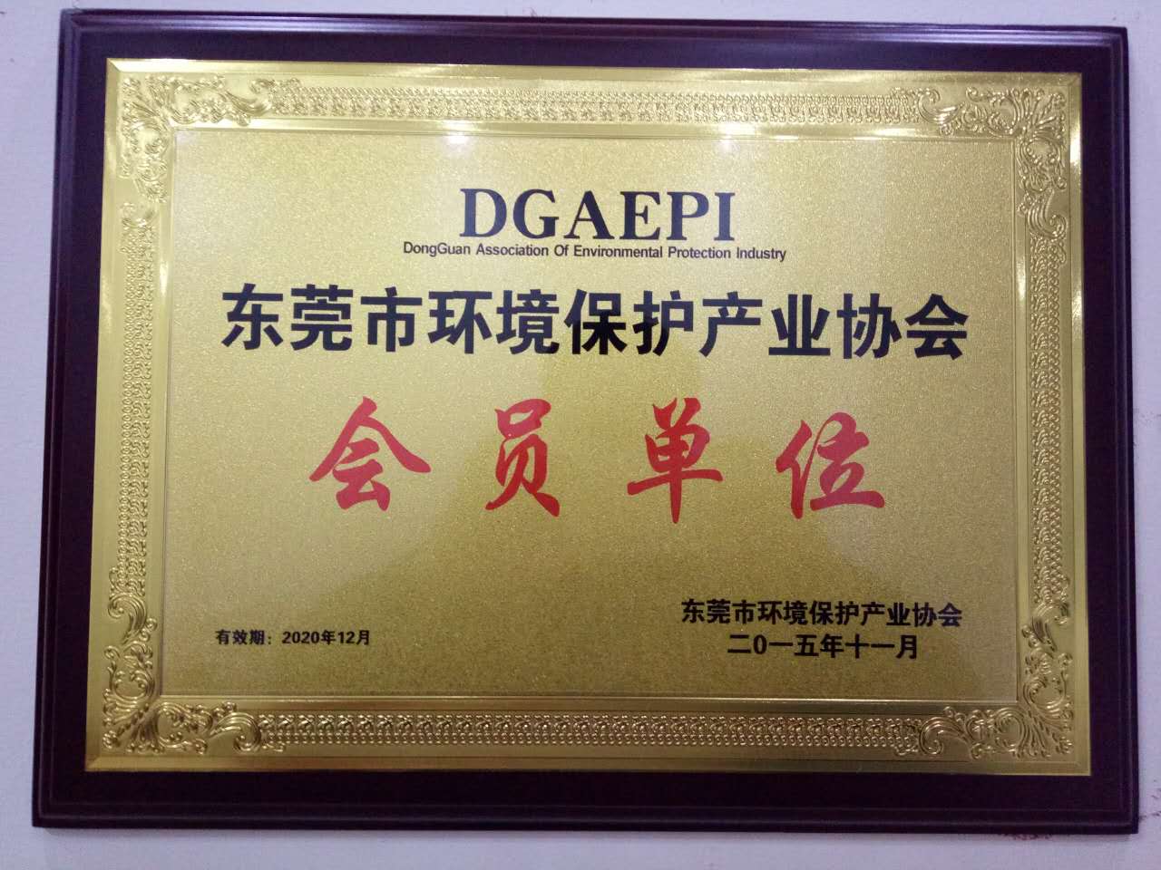 东莞市环境保护产业协会